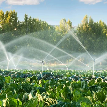 Sprinkler System